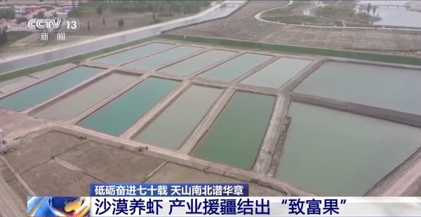 浙江配资门户 砥砺奋进七十载 天山南北谱华章丨沙漠里养虾让百姓的日子越过越红火