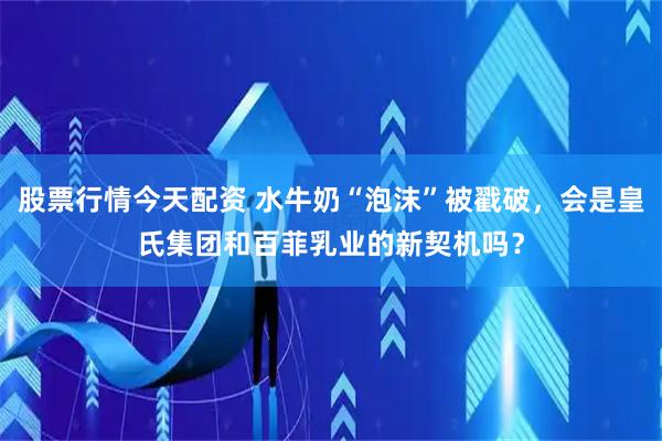 股票行情今天配资 水牛奶“泡沫”被戳破，会是皇氏集团和百菲乳业的新契机吗？