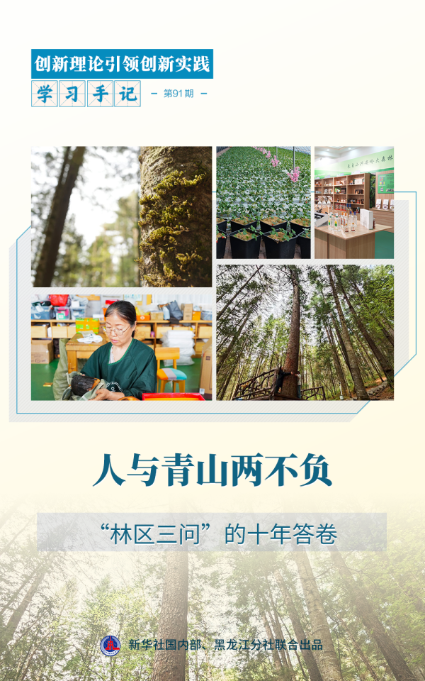 手机配资软件 学习手记·创新理论引领创新实践 | 人与青山两不负——“林区三问”的十年答卷